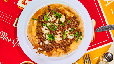 Birria Quesadilla